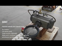 パネウマティックバタフライバル (爆発防止)