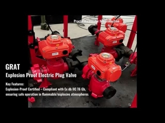 爆発防止の電気アクチュエータ-1