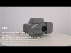 電子式インテリジェント電動アクチュエータ ステンレス鋼、電源オフリセット付き