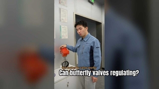 バタフライボールで流れを制御できるか - 危険場所用防爆バルブ